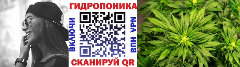 Конопля MAZAR Пучеж